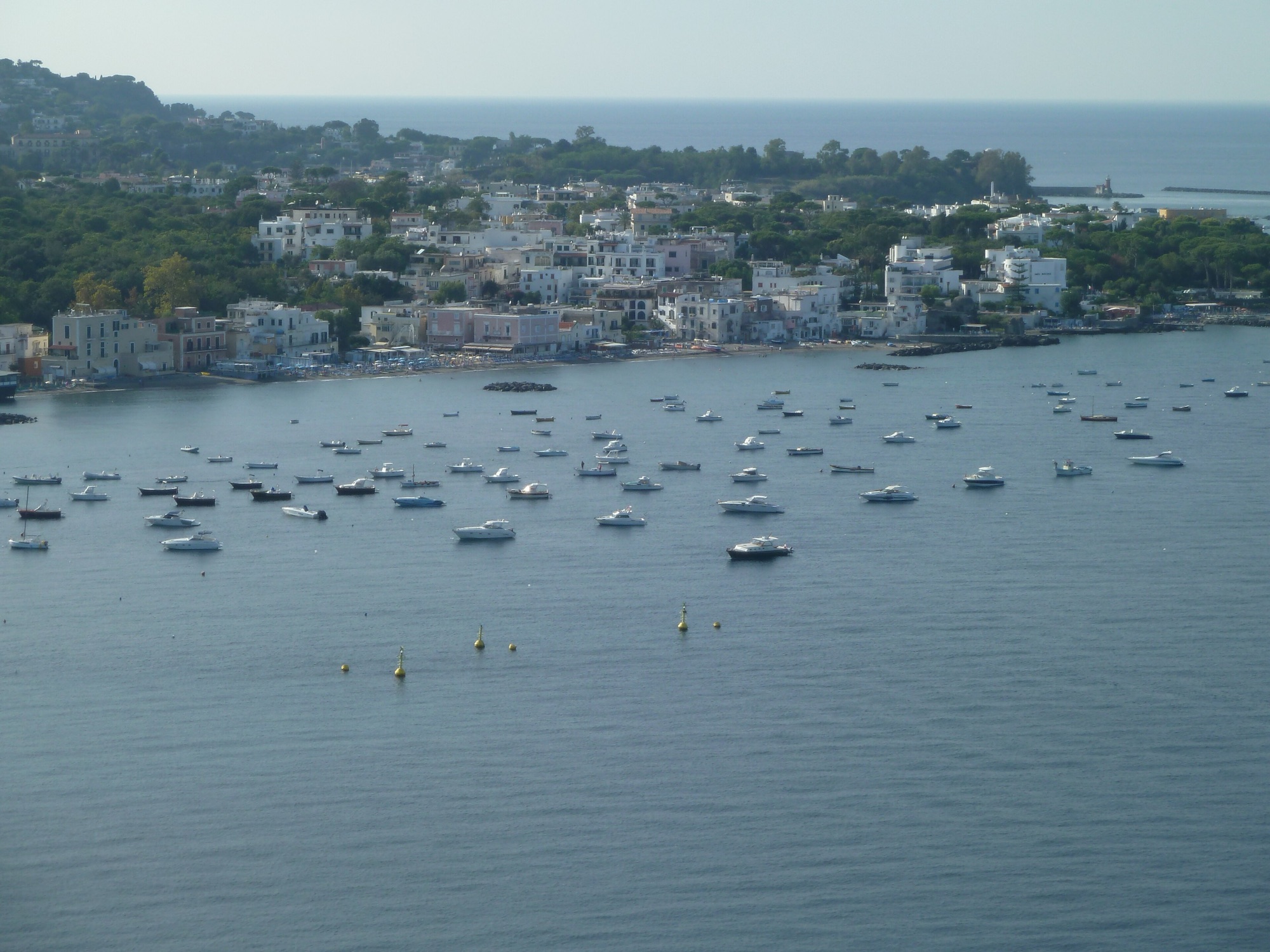 Ischia Ponte koyu