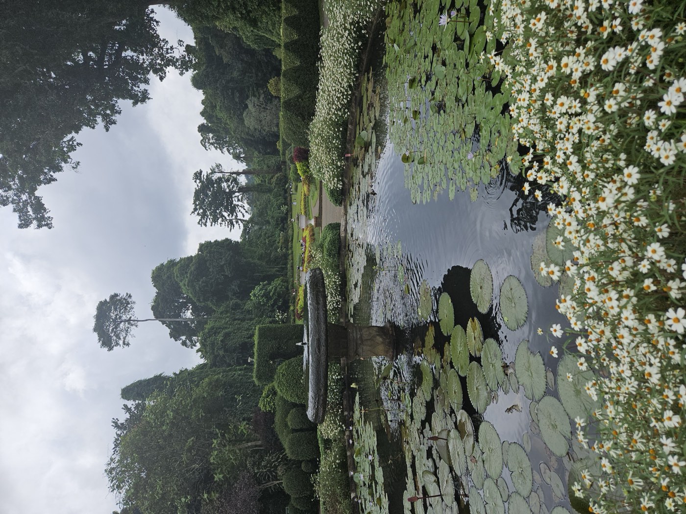 Peradeniya Botanik Bahçesi