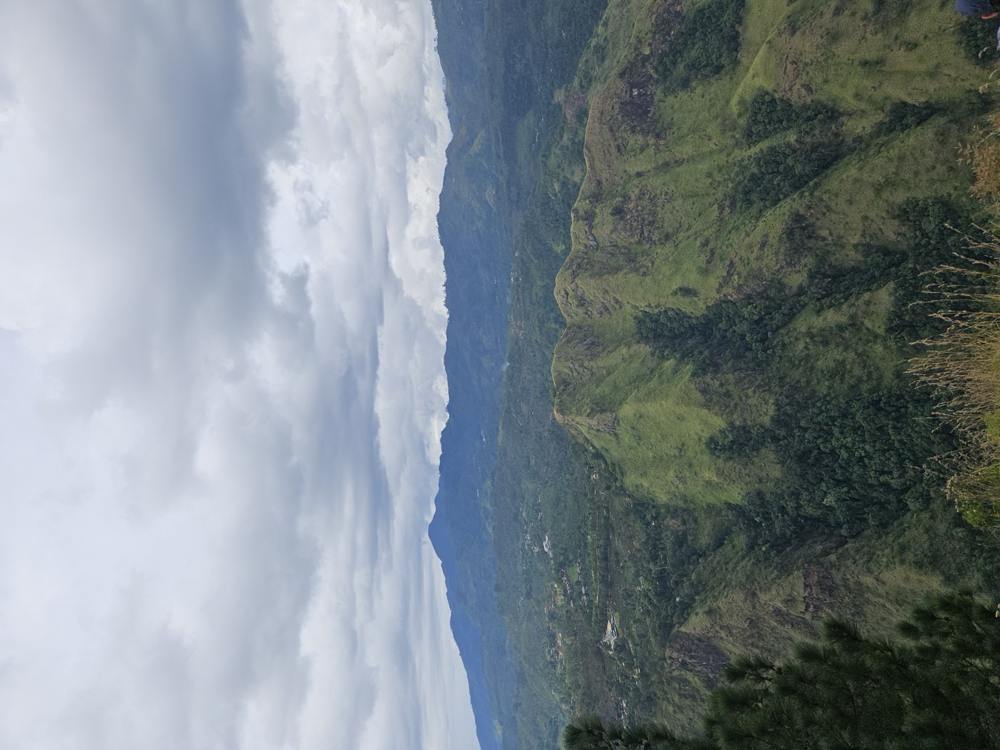 Nuwara Eliya çevresinde yayla manzarası